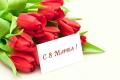 assets/News/_resampled/SetWidth120-982386158marta.jpg