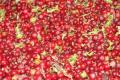 assets/News/_resampled/SetWidth120-DSC04947small.jpg