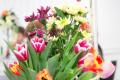 assets/News/_resampled/SetWidth120-DSC05388.JPG
