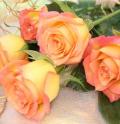 assets/News/_resampled/SetWidth120-flower.jpg